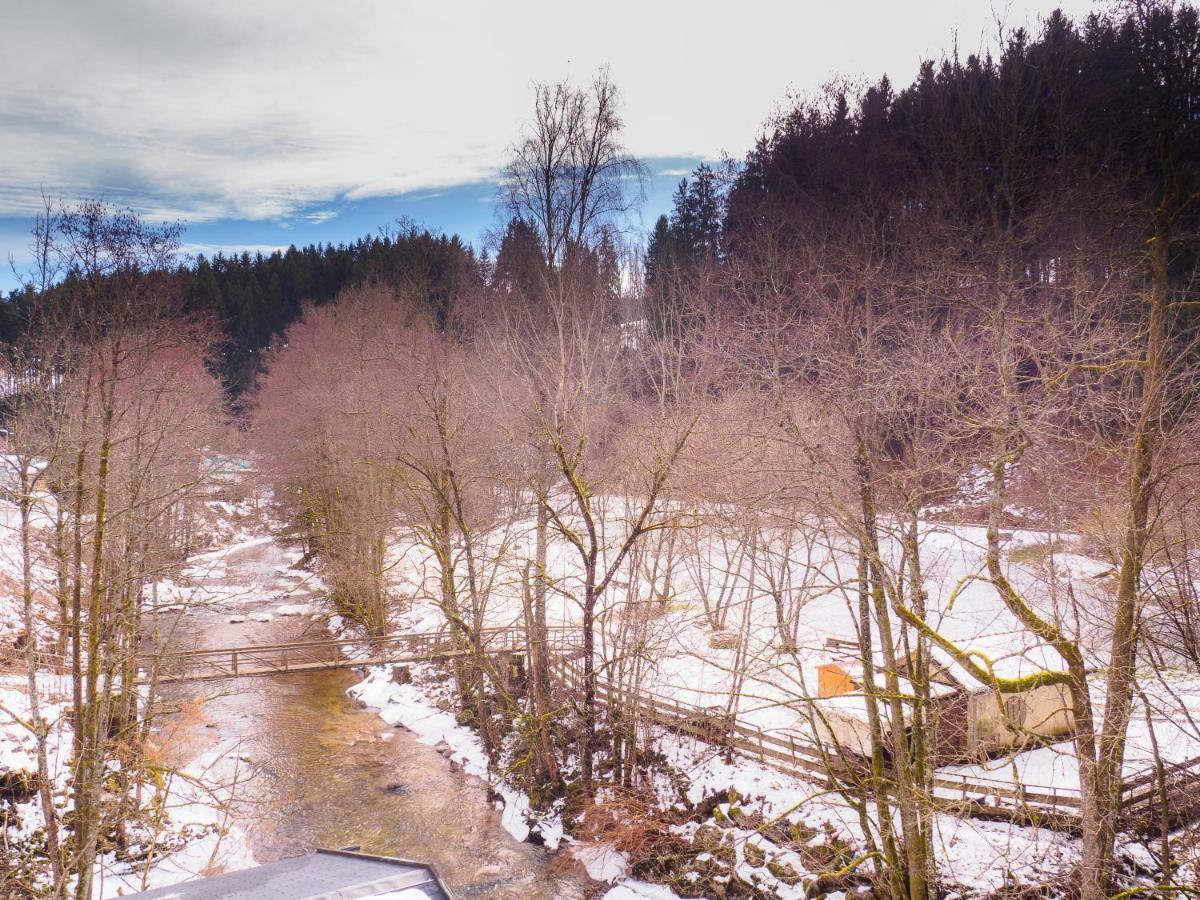 Haus Am Fluss Daire Baiersbronn Dış mekan fotoğraf